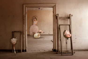 O Sonho do Ballet dos Flamingos