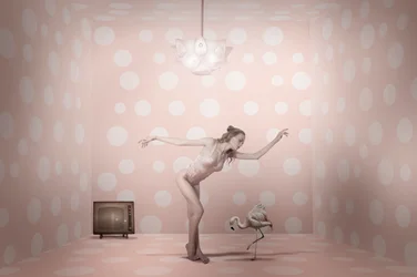 Bailarina Flamingo com Bolinhas Cor-de-rosa