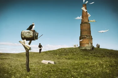 Livros «Puffin Flying»