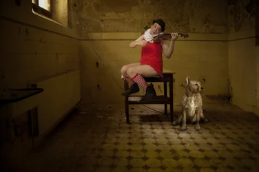 Serenata de um Quarto Excêntrico