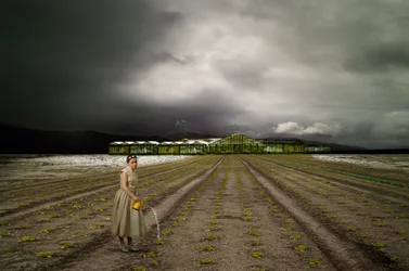 O Jardineiro Solitário, Stormy Field