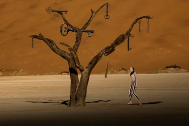 Árvore-chave do Deserto Surreal