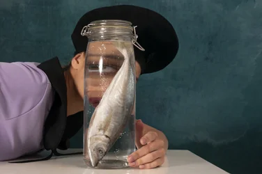 O Olhar Surreal do Peixe