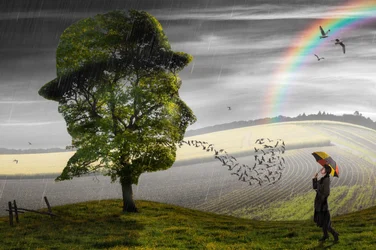 Chuva surreal e esperança