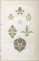 A arte do design decorativo: com um apêndice, dando as horas do dia em que as flores abrem, publicado pela Day & Son, Londres, 1862
