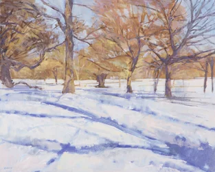 Inverno, Richmond Park
