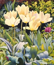 Tulipas Pálidas (aguarela sobre papel)