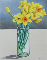 Supermercado Daffodils, 2022 (aguarela sobre papel)