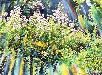 Thistledown, 2016 (aguarela sobre papel)