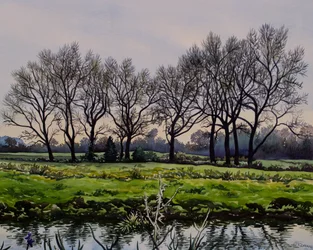 Winter Trees (aguarela sobre papel)