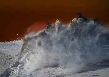 Tempestade de Cavalos Brancos