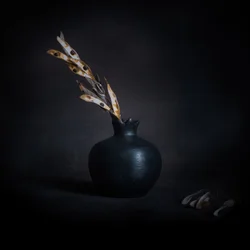Natureza-morta botânica escura