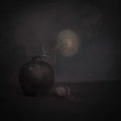 Natureza-morta escura com dente-de-leão