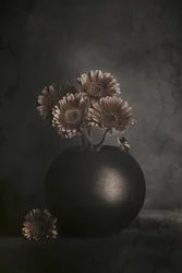 Flores escuras com rã