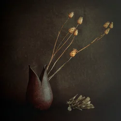 Botânicos rústicos escuros