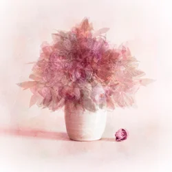Flores cor-de-rosa sonhadoras