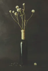 Garrafa com dente-de-leão seco