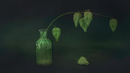 Natureza-morta com folha verde