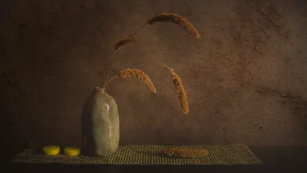 Natureza-morta botânica minimalista