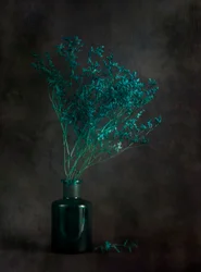 Natureza-morta botânica melancólica