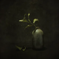 Natureza-morta botânica melancólica