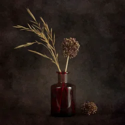 Plantas secas atmosféricas