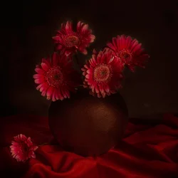 Natureza-morta melancólica com gérberas