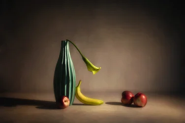 Moody Fruta e Flor