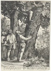 Birdcatcher