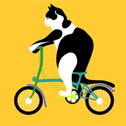 Gato em uma bicicleta Brompton