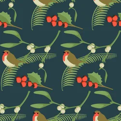 Robin de Natal