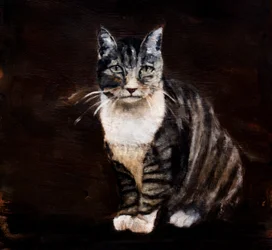 Gato malhado elegante