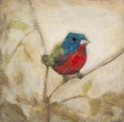 Pássaro pintado