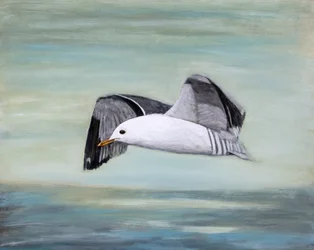 Gaivota sobre o oceano
