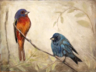 Dois pintassilgos coloridos