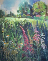 Campo de verão