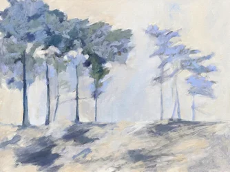 Árvores da Floresta Ennevoada