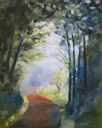 Caminho na floresta banhado pelo sol