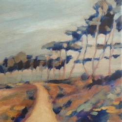 Caminho sinuoso pelo campo
