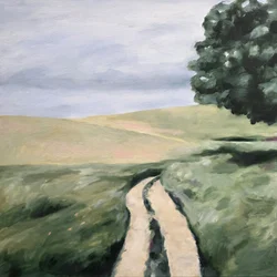 Caminho sinuoso pelo campo