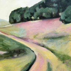 Caminho sinuoso pelo campo