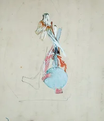 Sistema nervoso na cabeça de um gato, 25 de Maio de 1842 (lápis e aguarela sobre papel)