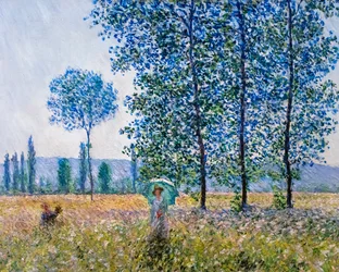 Campos na primavera