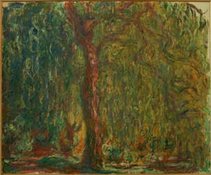Le Saule pleureur (o salgueiro-chorão)