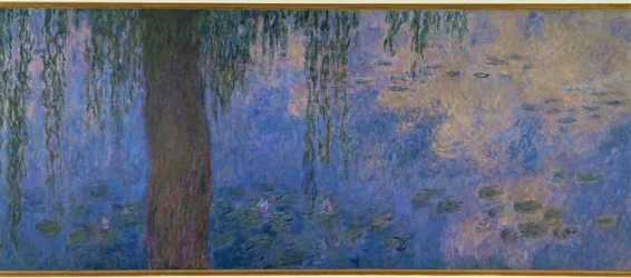 Les Nympheas: le matin aux saules (óleo sobre tela)