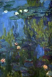 Nympheas, 1914-17