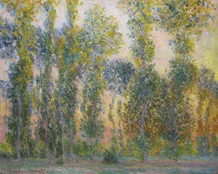 Choupos em Giverny, 1887