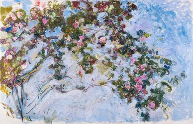Rosen.1925-26
