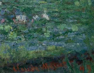 A lagoa dos nenúfares: Harmonia verde