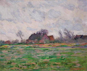 Campos de tulipas perto de Leiden